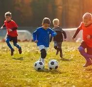 滚球平台官,方网站,资讯,滚球购买平台,滚球平台官方网站,滚球平台,(集团)官方网站,十大滚球购买平台