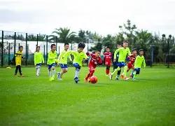 中国熊猫体,育官网携手,乐动运动,滚球购买平台,滚球平台官方网站,滚球平台,(集团)官方网站,十大滚球购买平台