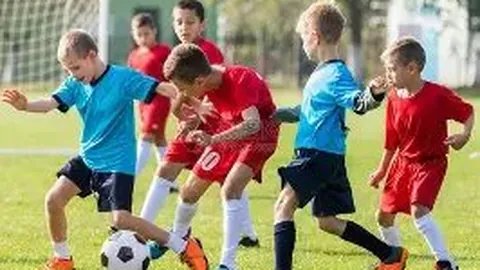 滚球平台官方网站 产品 084232 odv