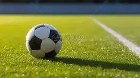 滚球平台官方网站 资讯 085936 cfj