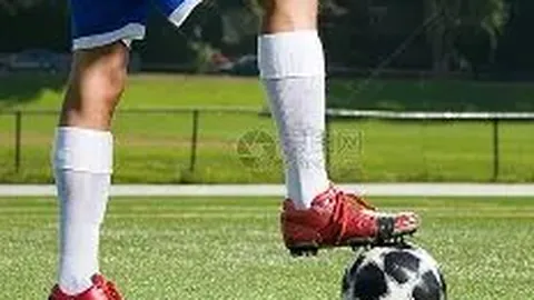 滚球平台官方网站 产品 090106 sfe