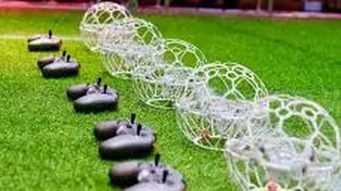 阿布扎比联合势不可挡！12胜9，能否再创辉煌巅峰？