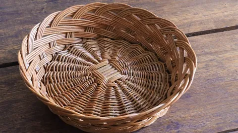 “19岁篮球新星陈家政：能否继王仕鹏之后，开启赵睿时代的接力棒？”