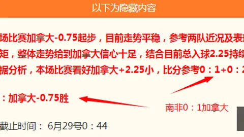 滚球平台官方，滚球平台App，网站 164211 1